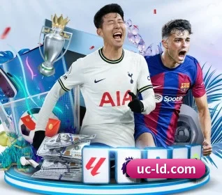 五大服务分区,信息按项目分类